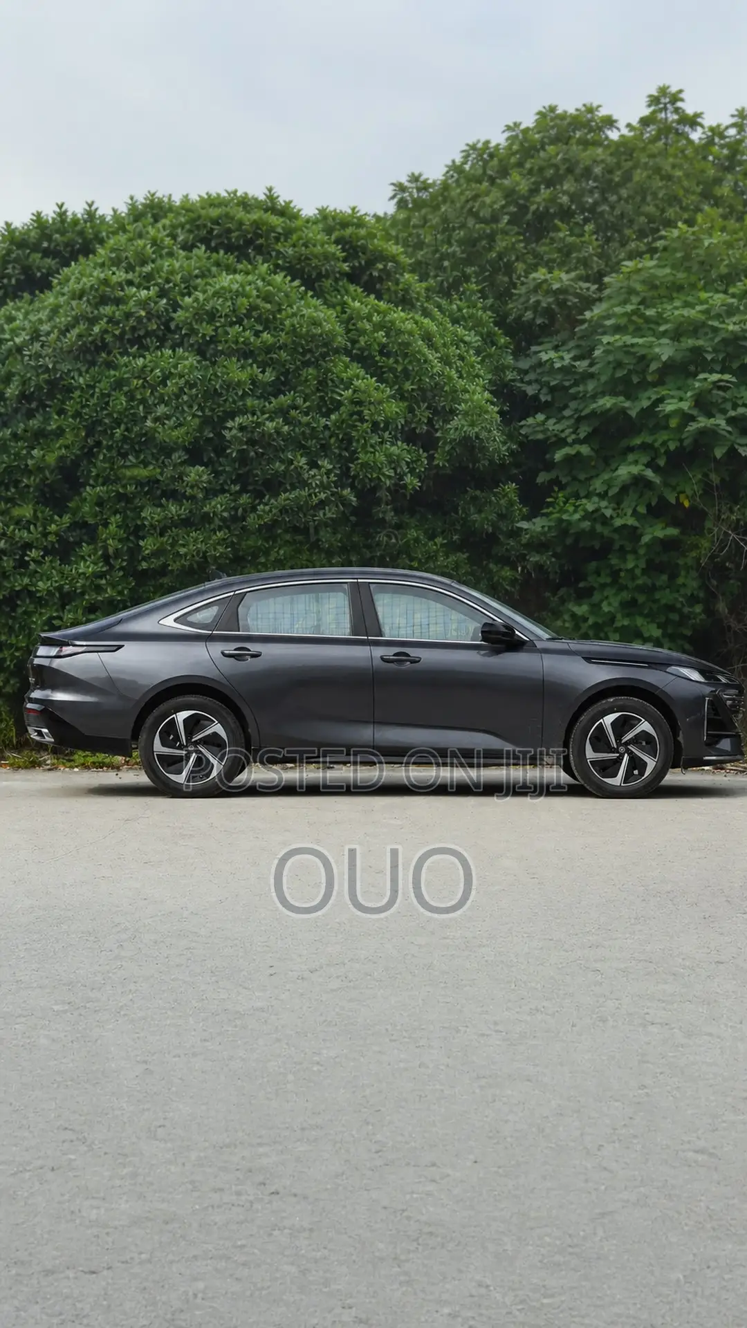 Changan Eado Plus 2025 Gray