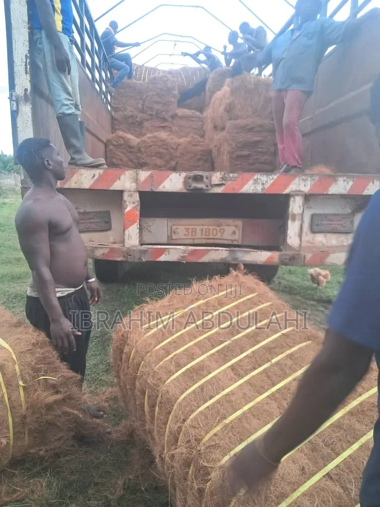 Enzymes and Coconut Fibre