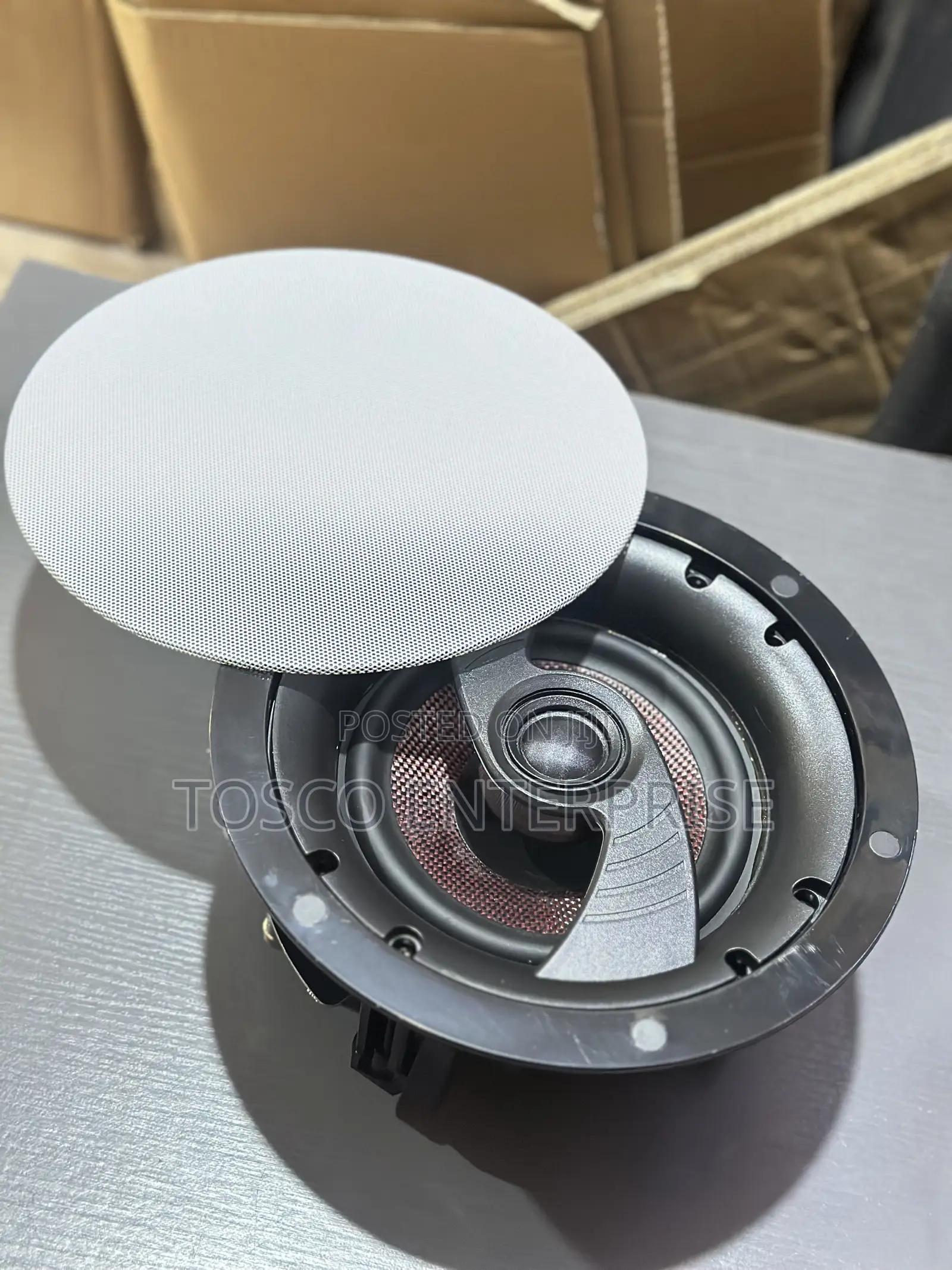 Frameless Raw Sound Hybrid Ceiling Speaker
