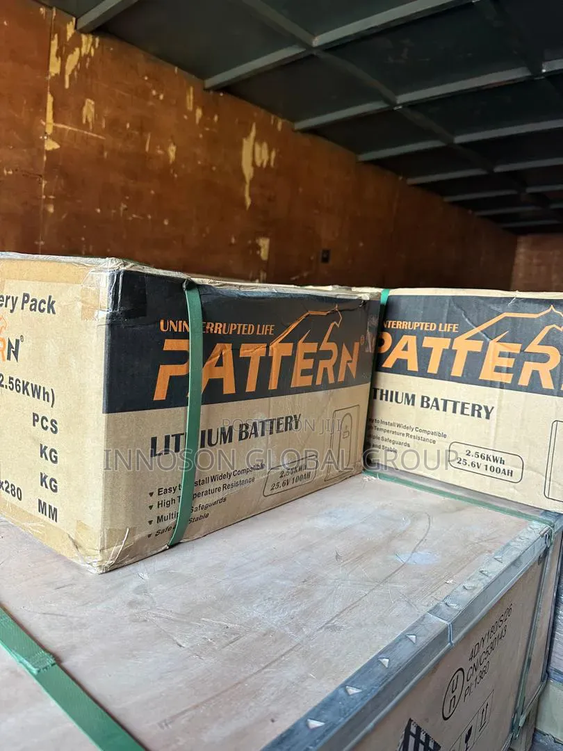 2.5kwh 24v Pattern Lithium Battery