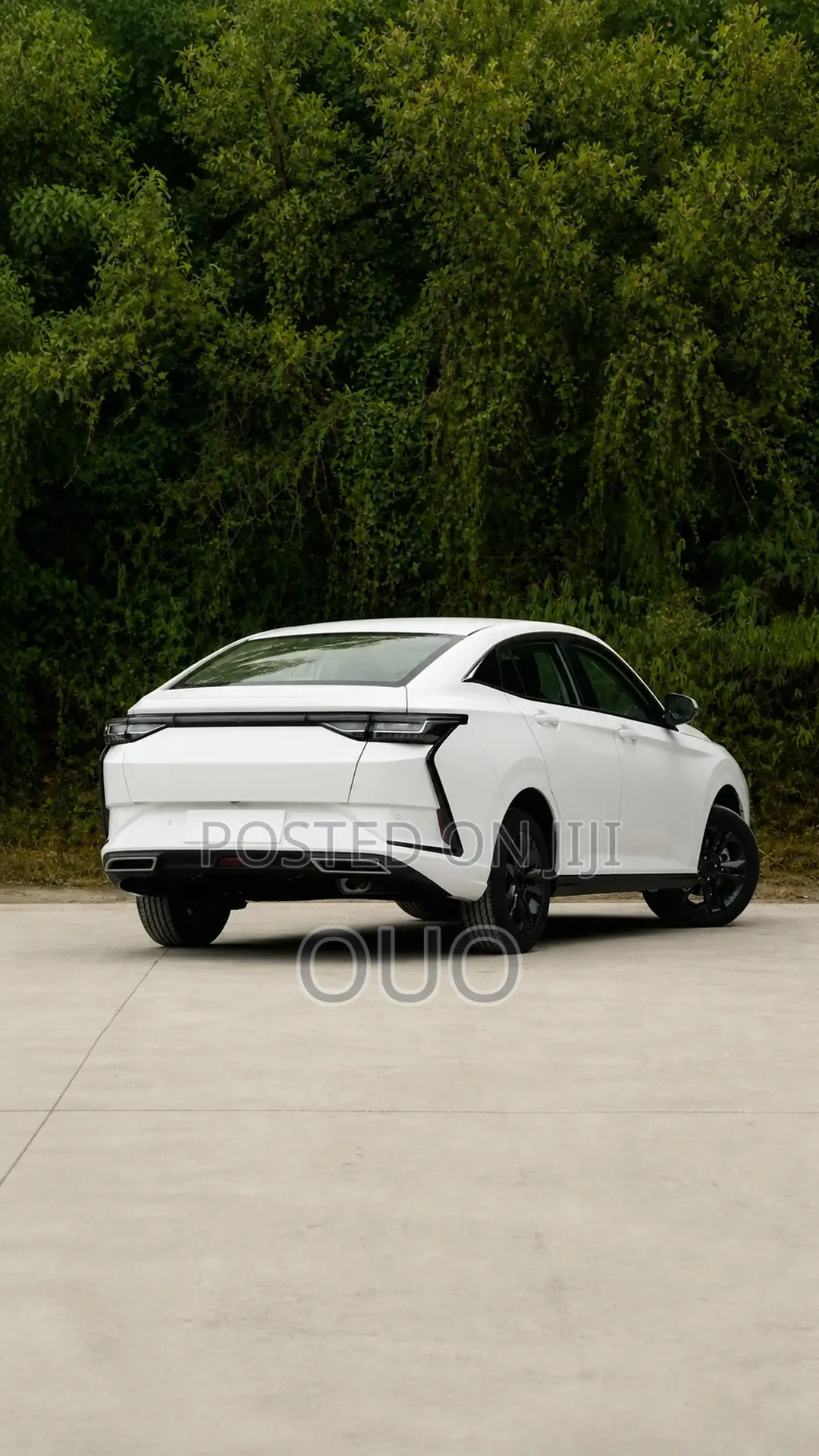 Aeolus Yixuan 2026 White