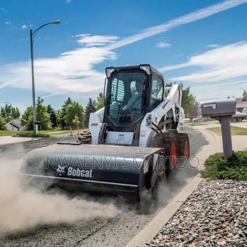 Bobcat With Broom