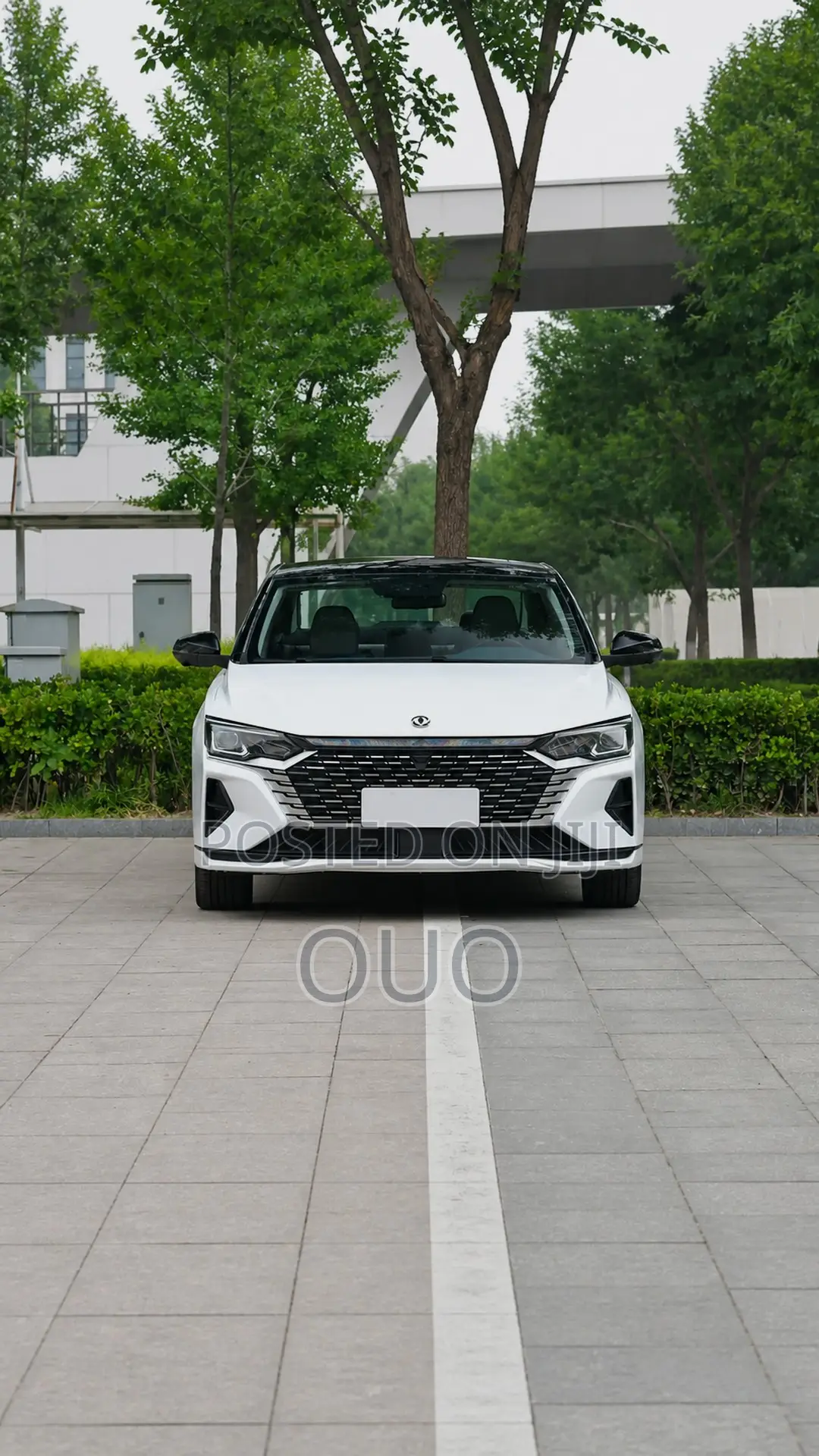 Aeolus Yixuan 2024 White