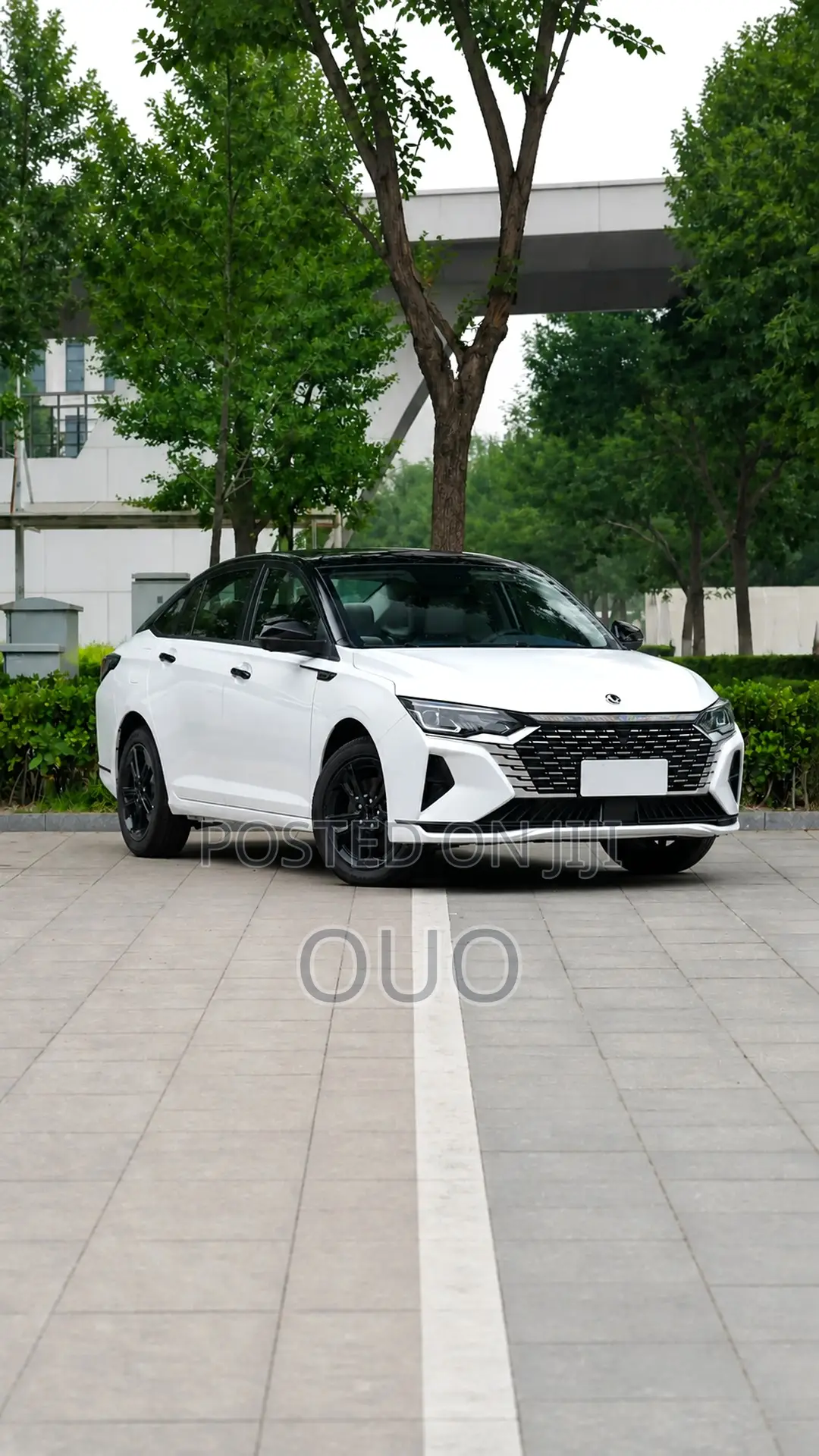 Aeolus Yixuan 2024 White