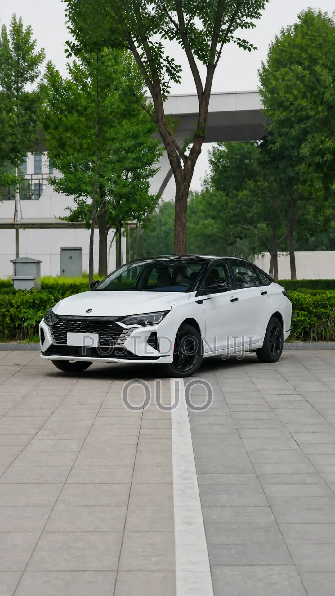 Aeolus Yixuan 2024 White