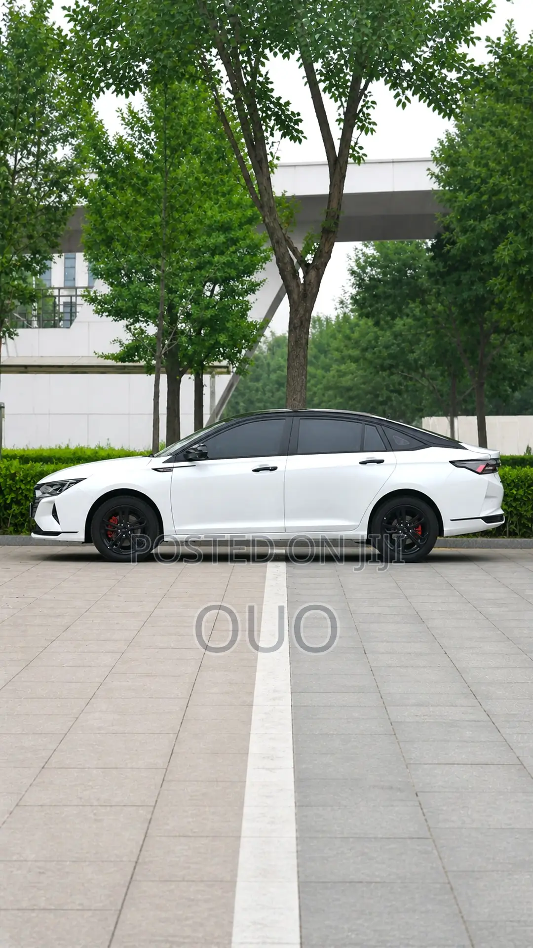 Aeolus Yixuan 2024 White