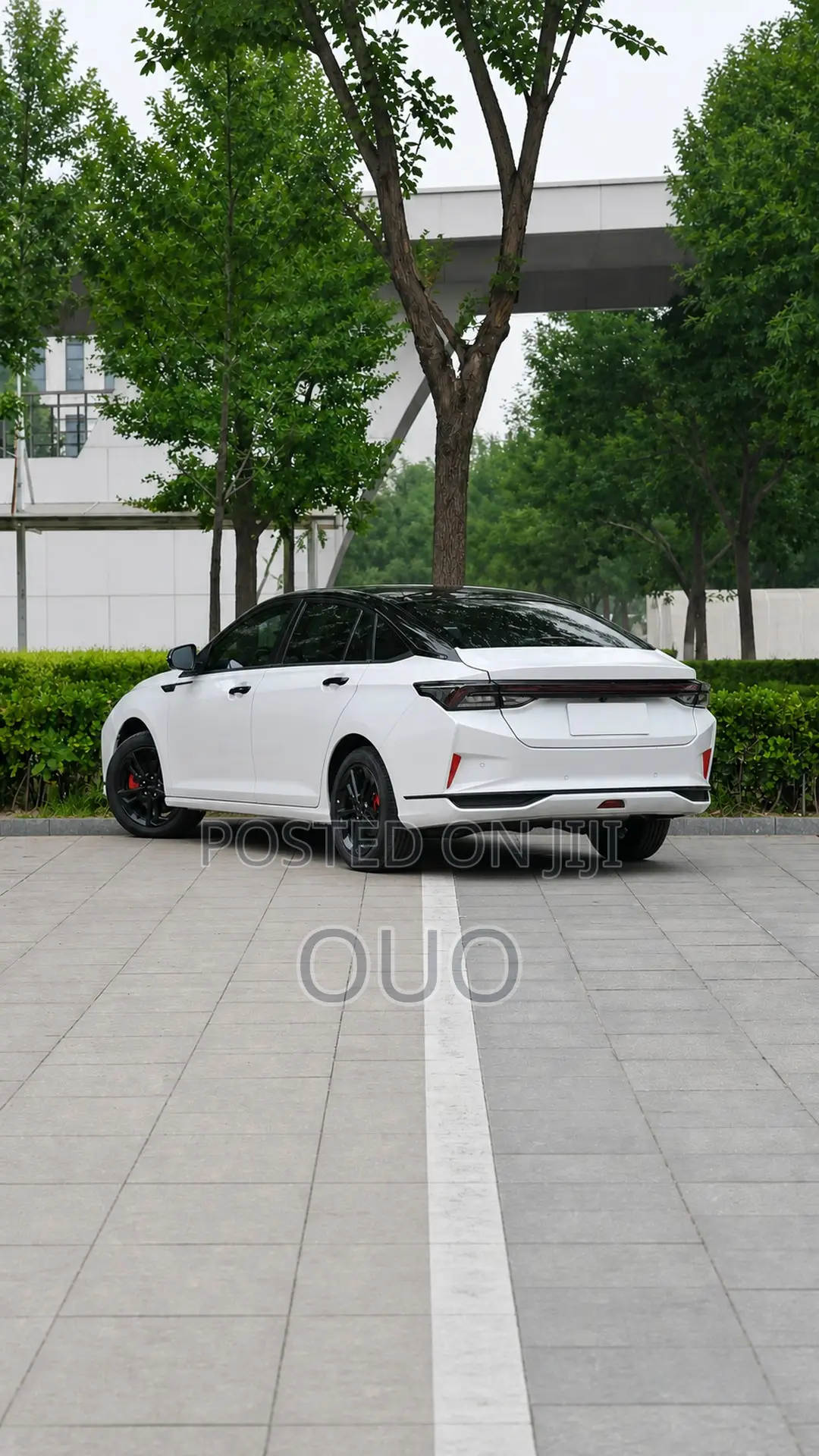 Aeolus Yixuan 2024 White