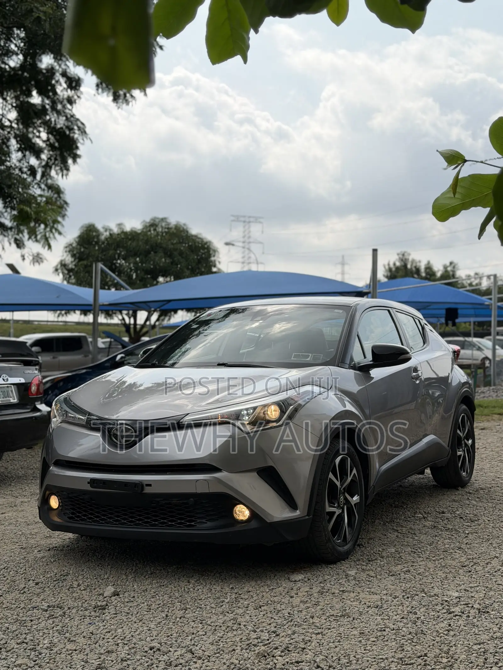 Toyota C-HR Limited FWD 2019 Gray