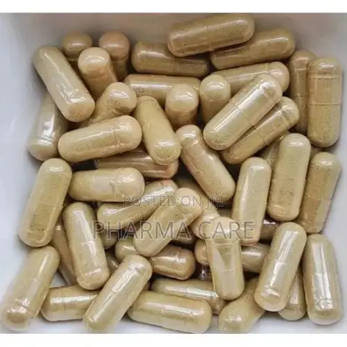Lion's Mane 1,000mg Per Serving 90 Capsules Brain Nerve