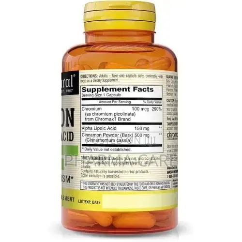 Cinnamon With Alpha Lipoic Acid Wellness Antioxidant Support- 60 Cap