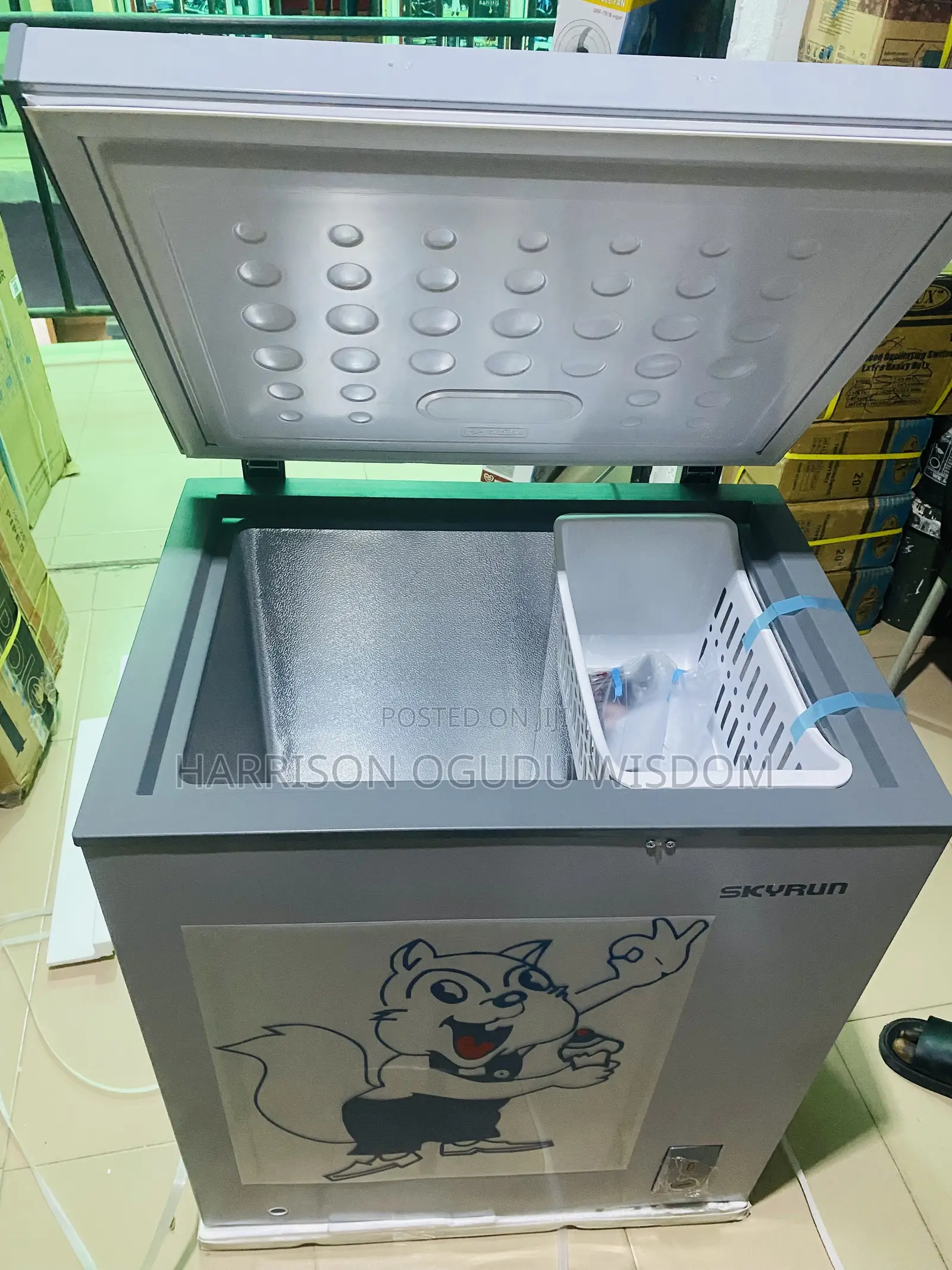 Skyrun Inverter Freezer 145L for Sale