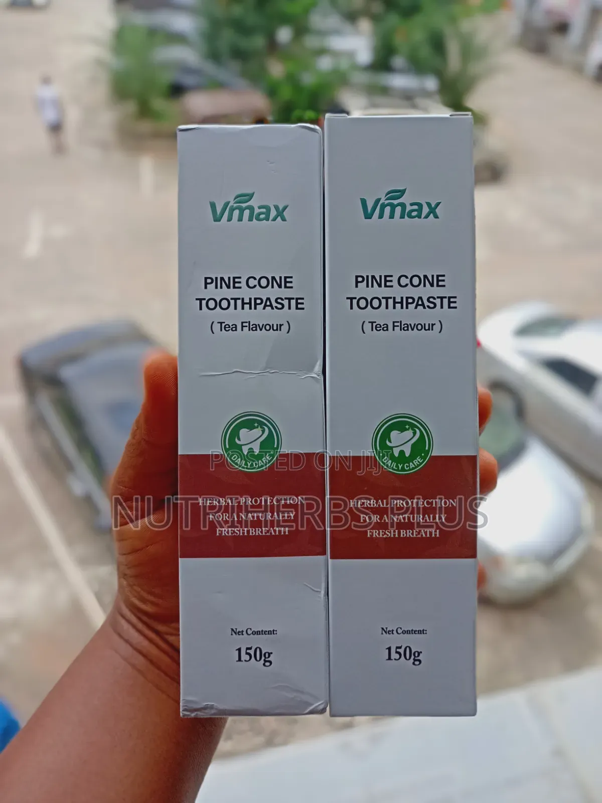 Vmax Pine Cone Toothpaste(helps Reduce Oral Inflammation)