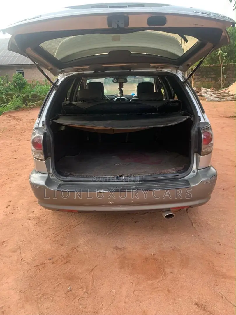 Lexus RX 2006 Silver