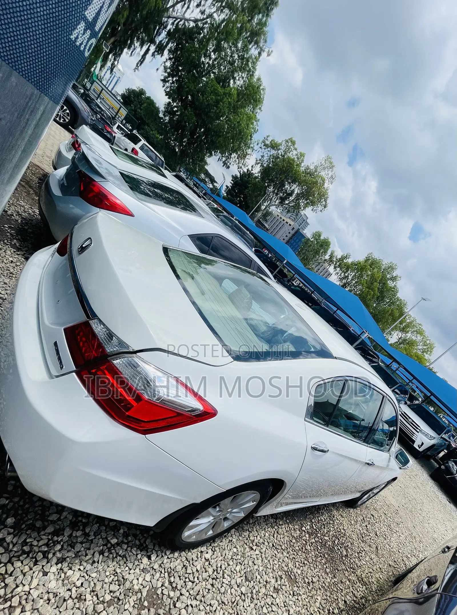 Honda Accord Touring 4dr Sedan FWD (3.5L 6cyl 6A) 2013 White