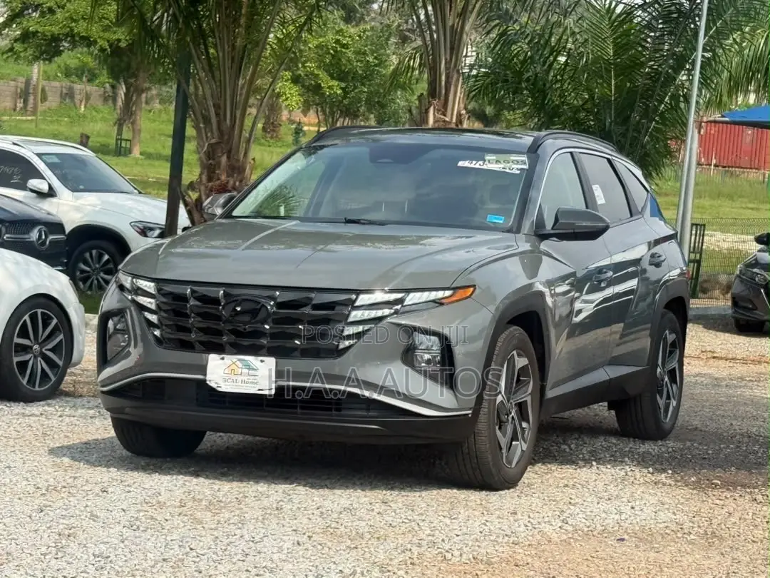 Hyundai Tucson 2024 Gray