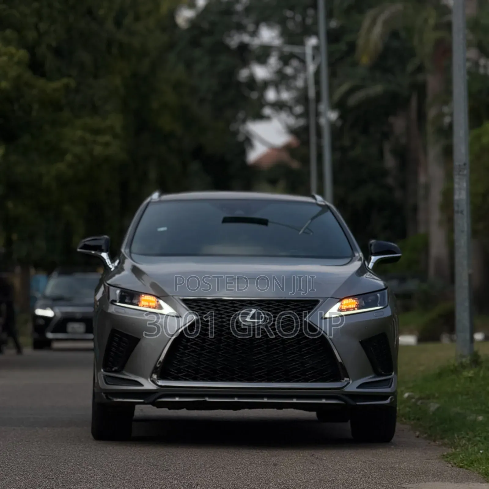 Lexus RX 2020 Gray