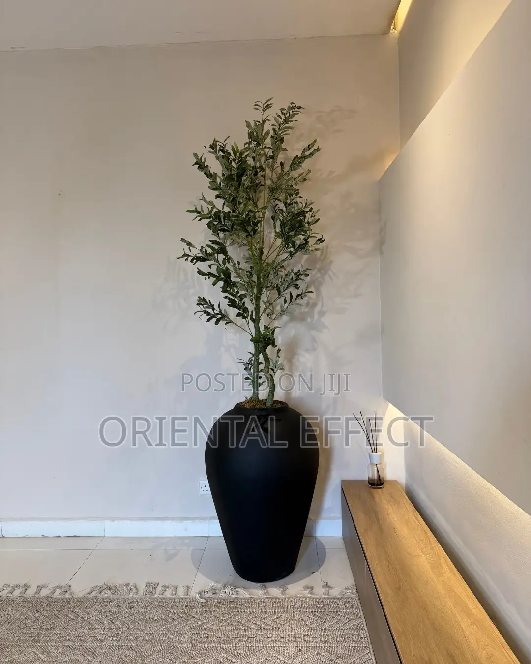 Artificial Twisted Olive Tree With Matte Black Medium Odel Pot 230cm