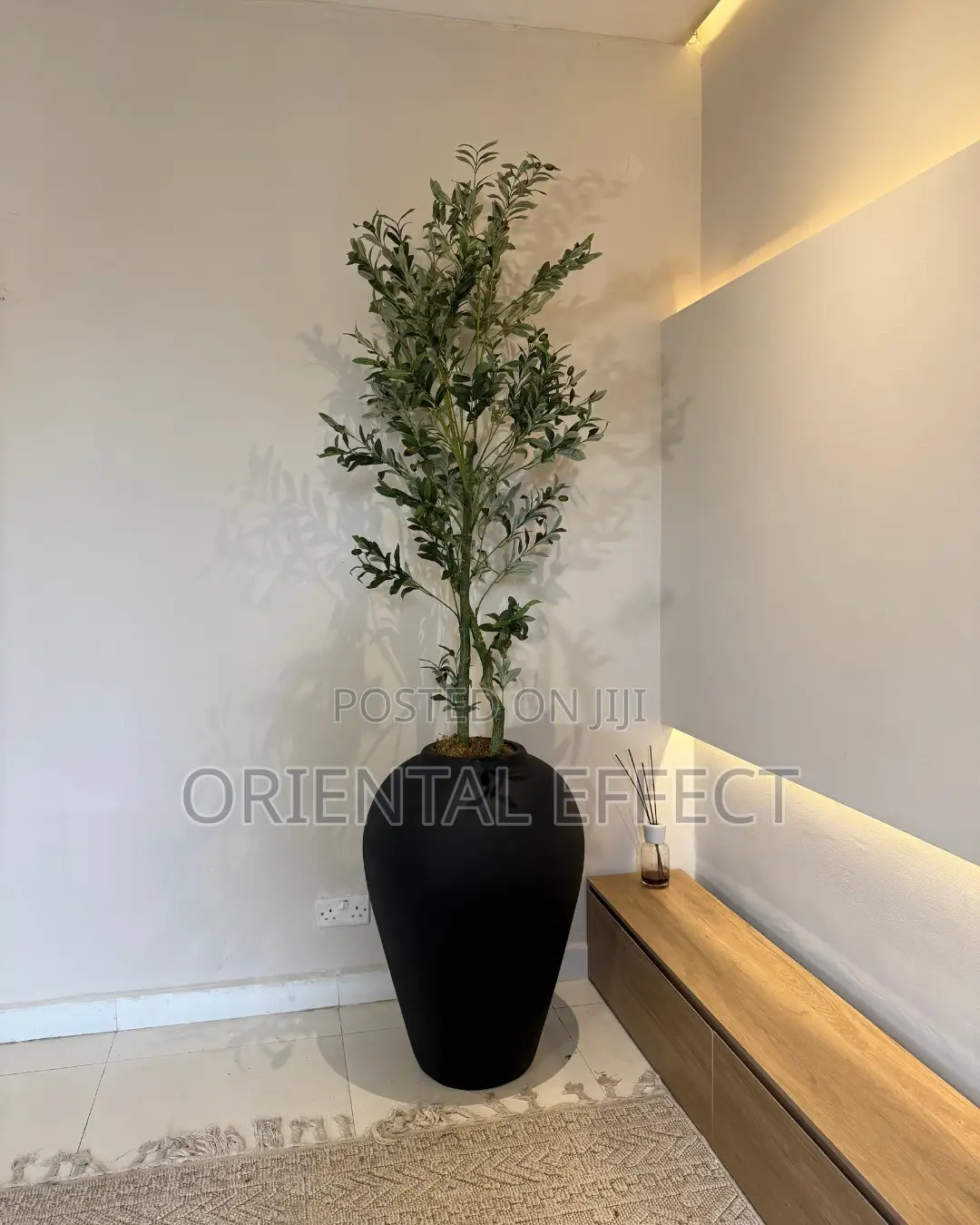 Artificial Twisted Olive Tree With Matte Black Medium Odel Pot 230cm