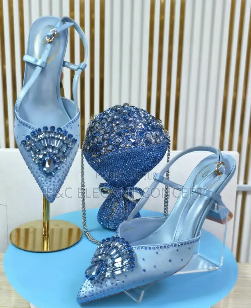Luxury Quality Shoe and Purse Set
