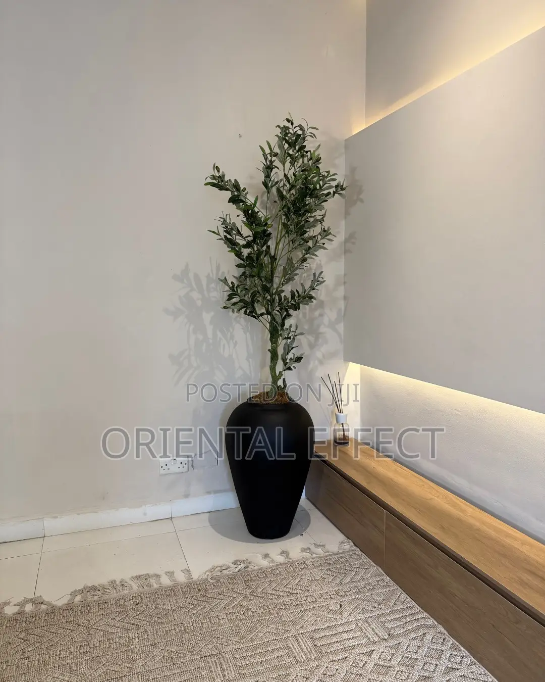 Artificial Twisted Olive Tree With Matte Black Odel Small Pot 186cm