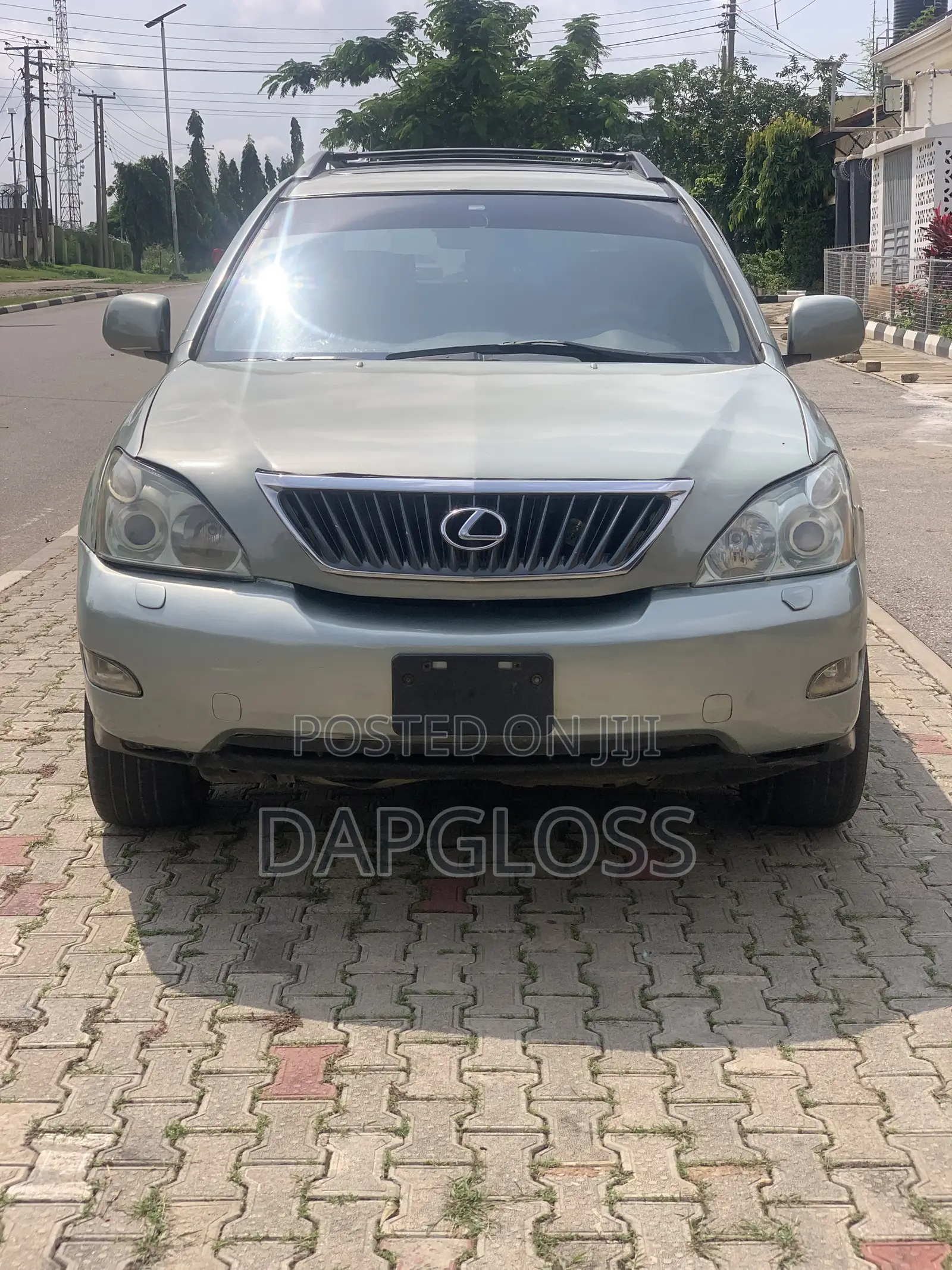 Lexus RX 2008 Gray