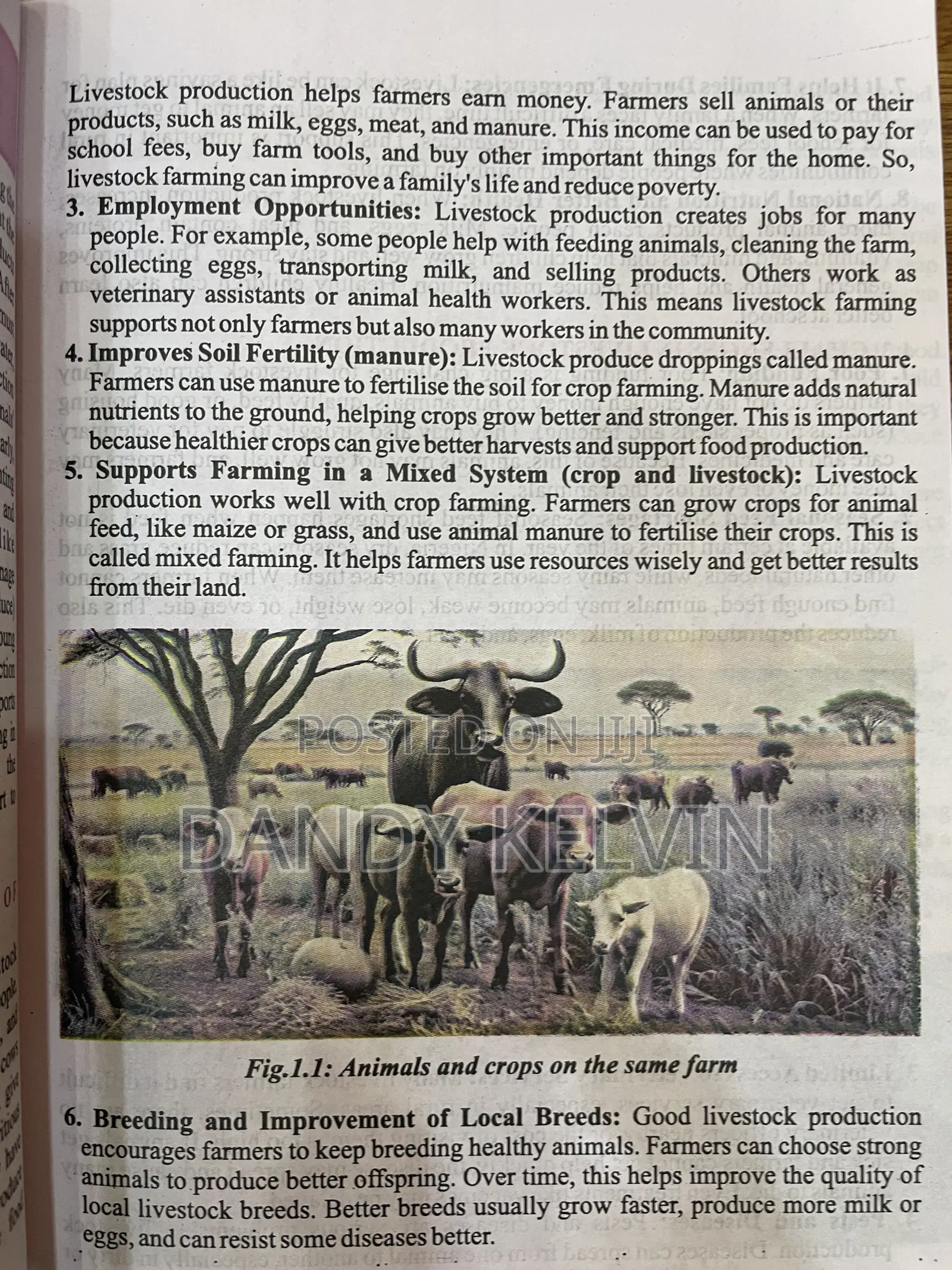 Understanding Livestock Farming