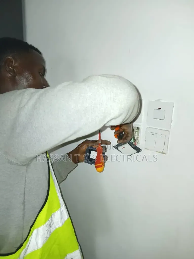 Professional Electrician