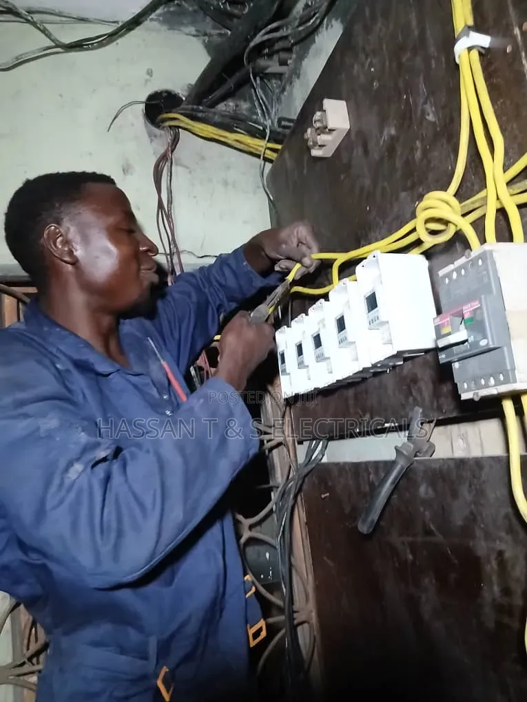 Professional Electrician