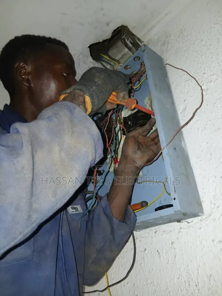 Professional Electrician