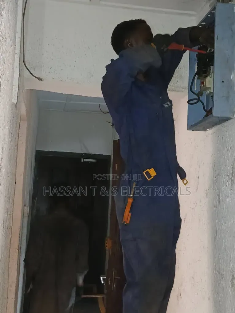 Professional Electrician