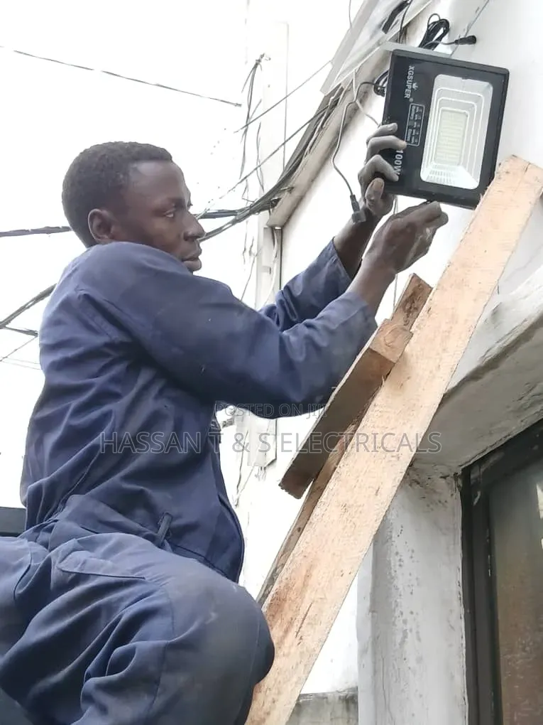 Professional Electrician