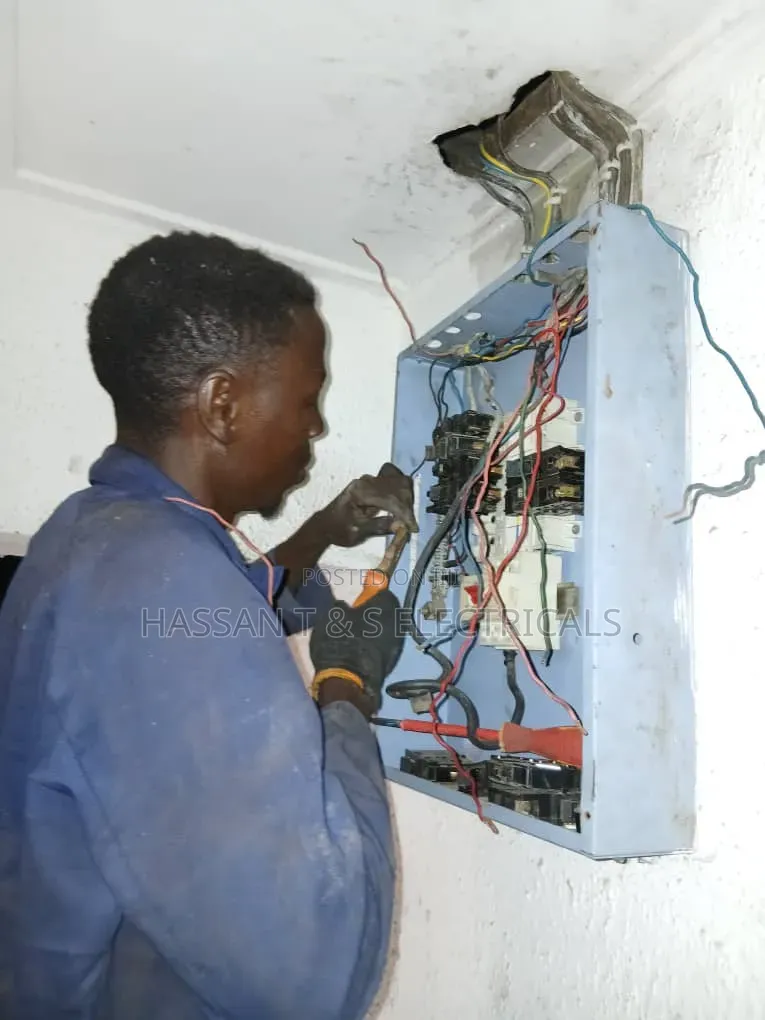 Professional Electrician