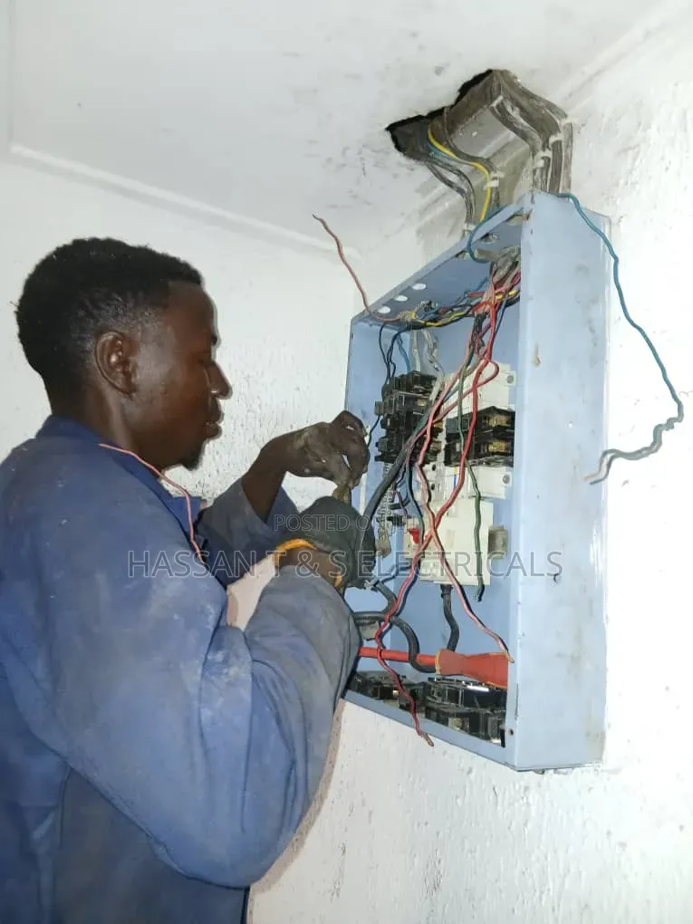 Professional Electrician