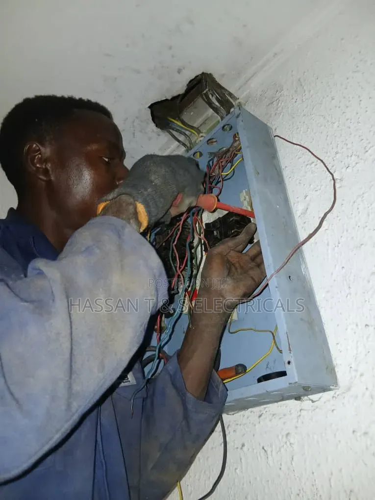 Professional Electrician