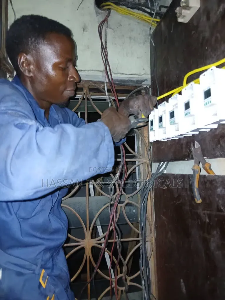 Professional Electrician