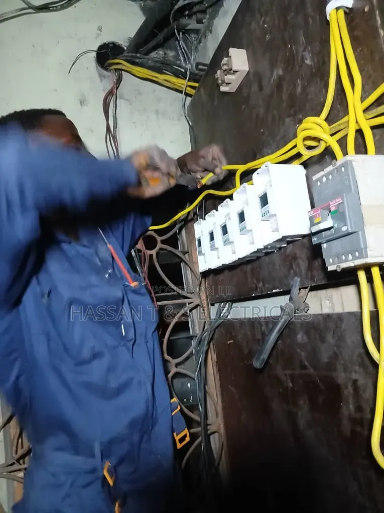 Professional Electrician