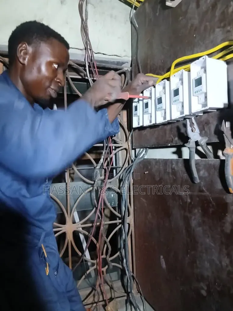 Professional Electrician