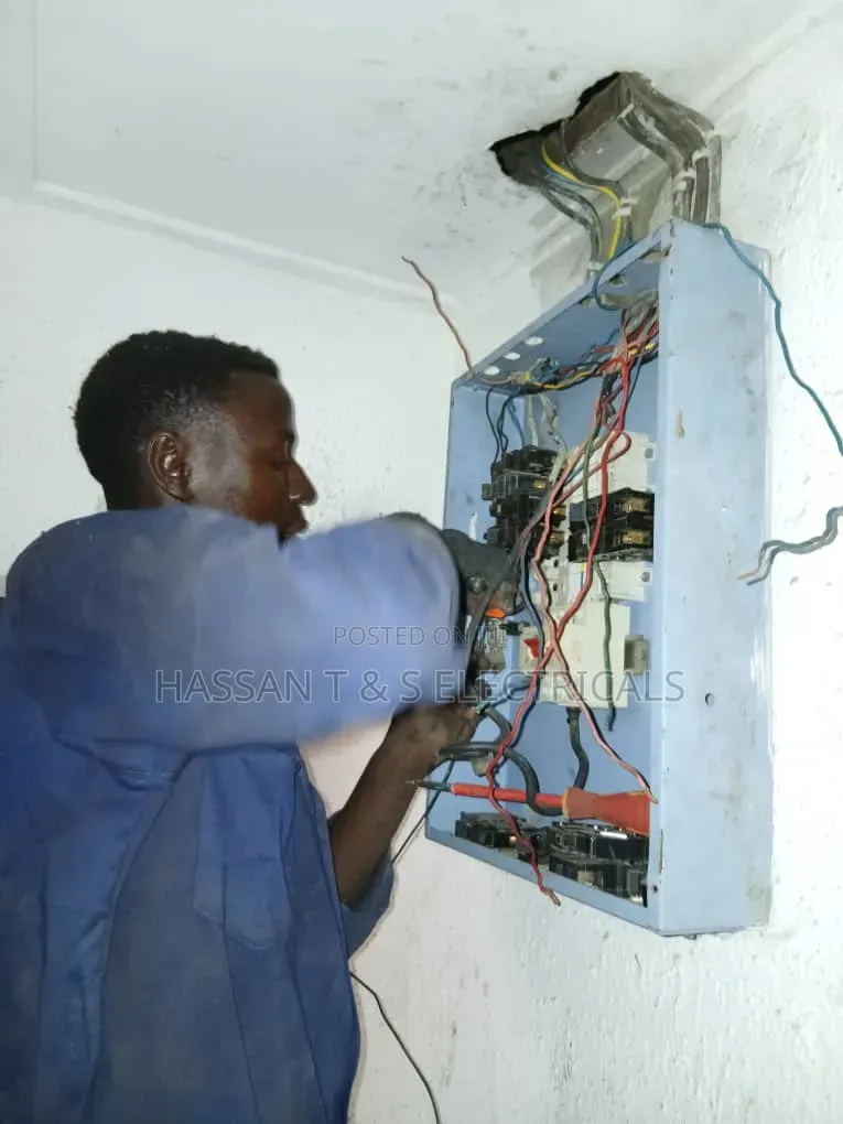 Professional Electrician