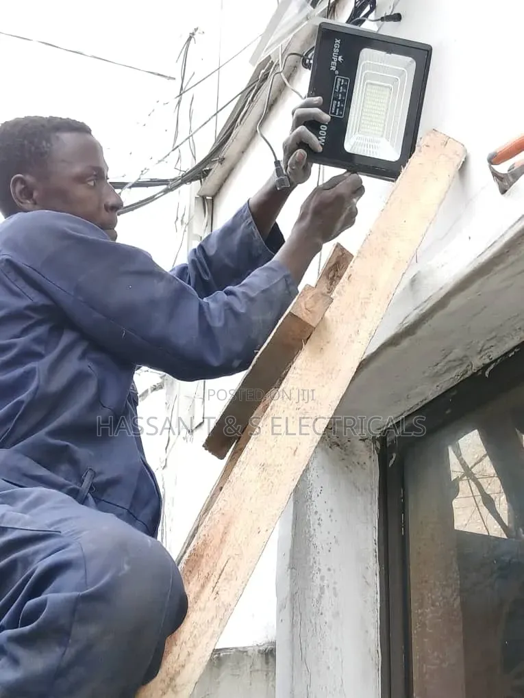 Professional Electrician