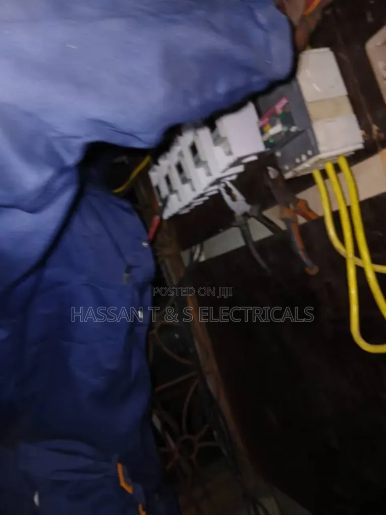Professional Electrician