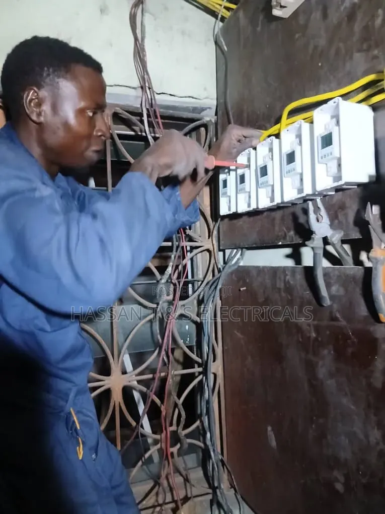 Professional Electrician