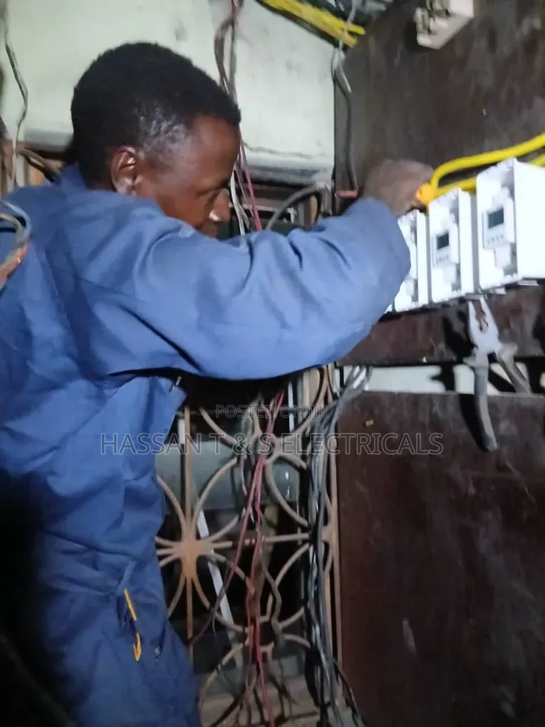 Professional Electrician