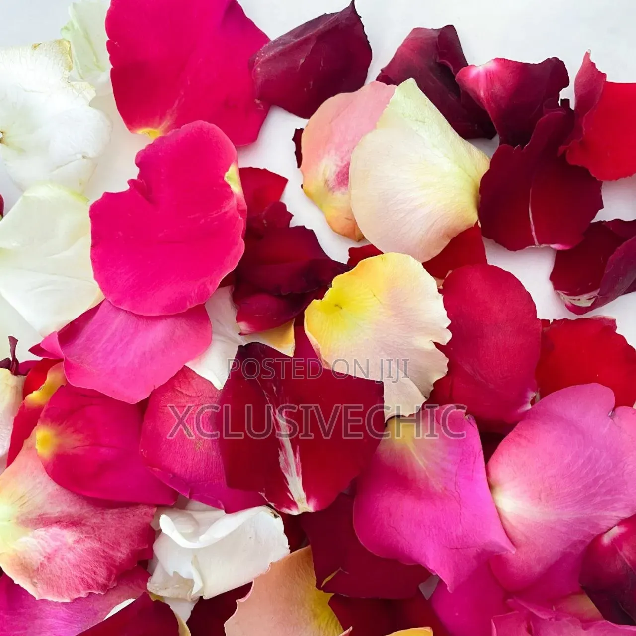 Petals for 10 in a Pack - Different Colors