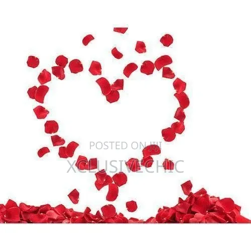 Petals for 10 in a Pack - Different Colors