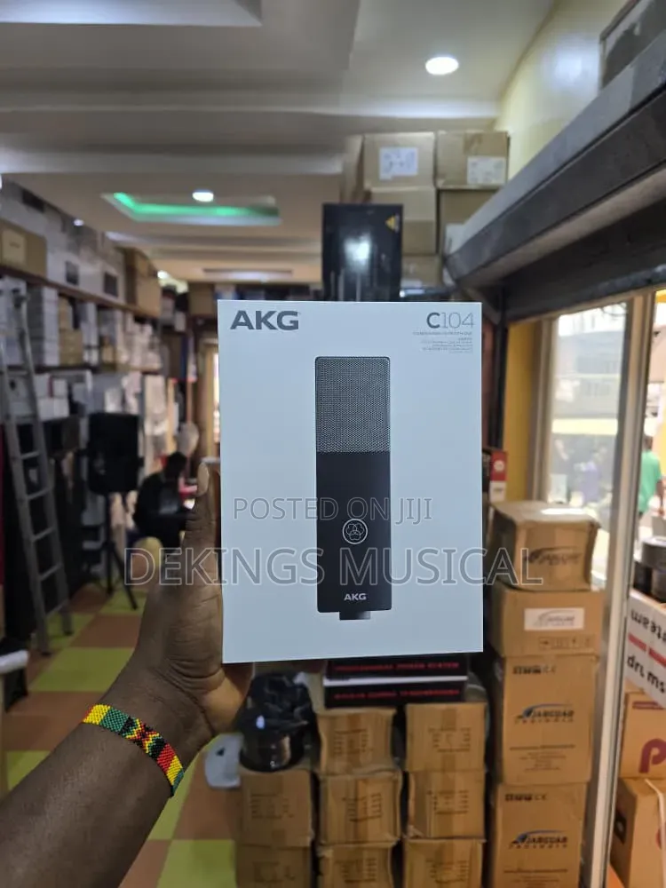 AKG C114 Professional Large-Diaphragm Condenser Microphone