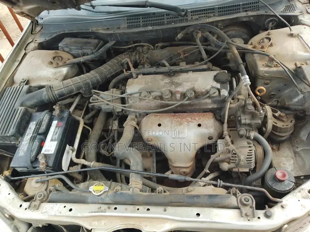 Honda Accord 2000 Gold