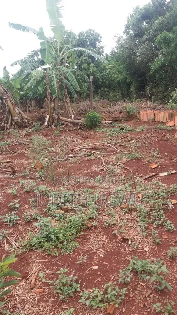 Land 50/100