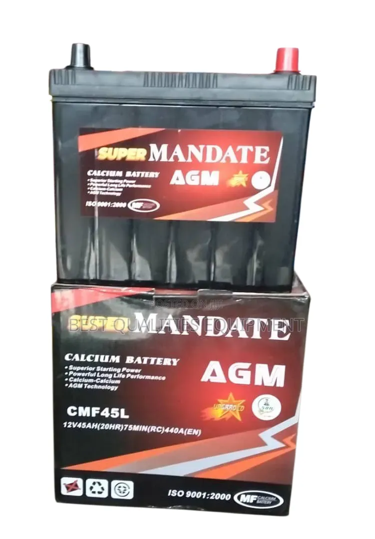 12v45ah Super Mandate Battery