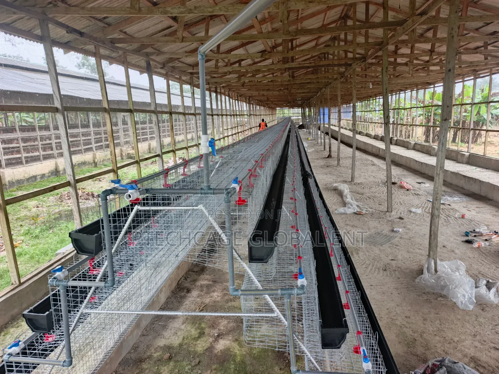 Poultry Battery Cages