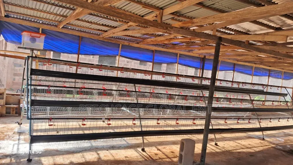 Poultry Battery Cages